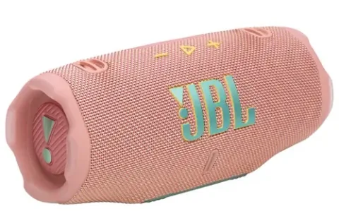 JBL Charge 6 Roz