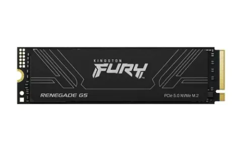 Kingston Fury Renegade G5 8TB 4256948