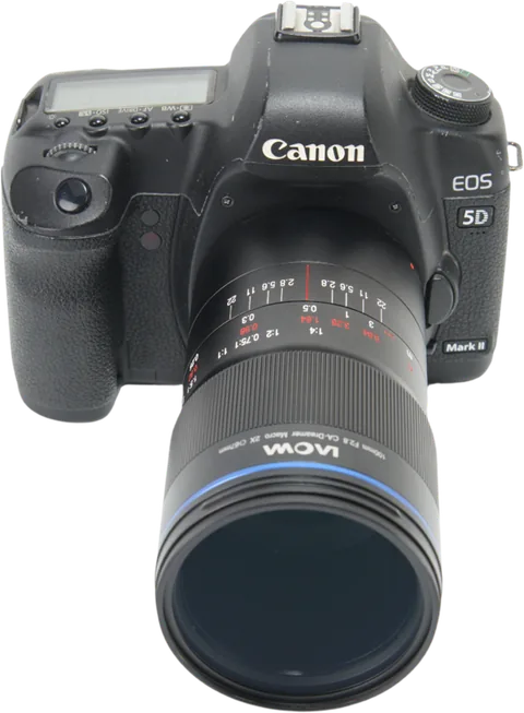 Laowa 100mm f/2.8 2X Ultra Macro APO Canon EF - imagine 4