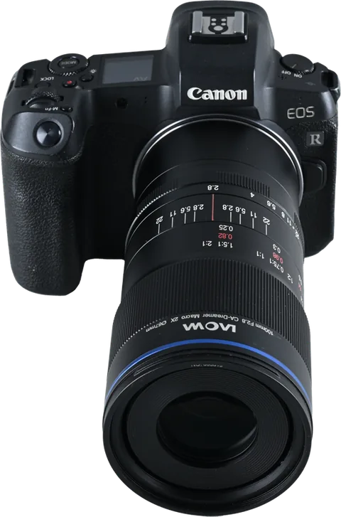 Laowa 100mm f/2.8 2X Ultra Macro APO Canon RF - imagine 5