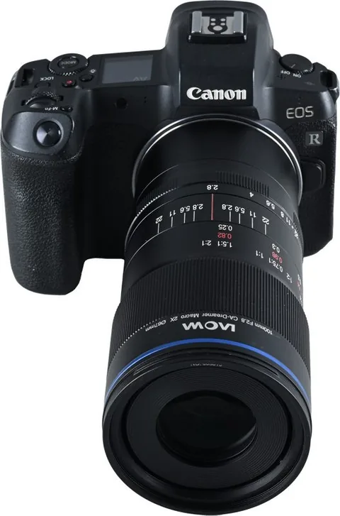 Laowa 100mm f/2.8 2X Ultra Macro APO Canon RF - imagine 10