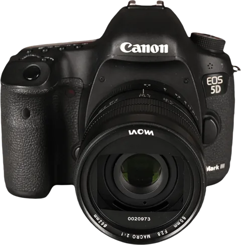 Laowa 60mm f/2.8 2X Ultra-Macro Canon EF - imagine 5