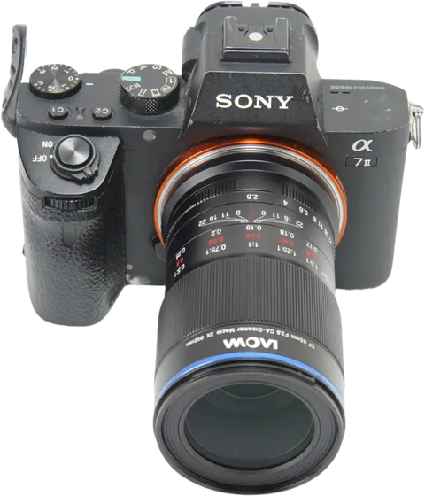 Laowa 65mm f/2.8 2X Ultra Macro Sony E - imagine 4