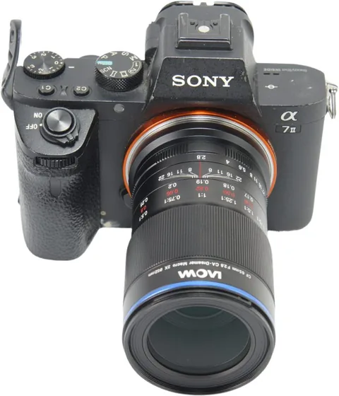 Laowa 65mm f/2.8 2X Ultra Macro Sony E - imagine 9