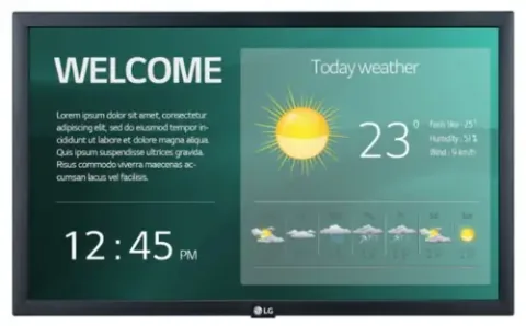 LG 22SM3G-B Negru