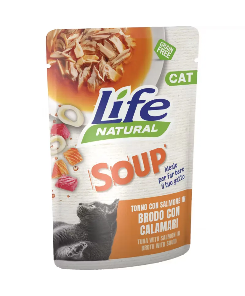 Hrana Umeda pentru Pisici Life Natural Adult Supa Somon 60g