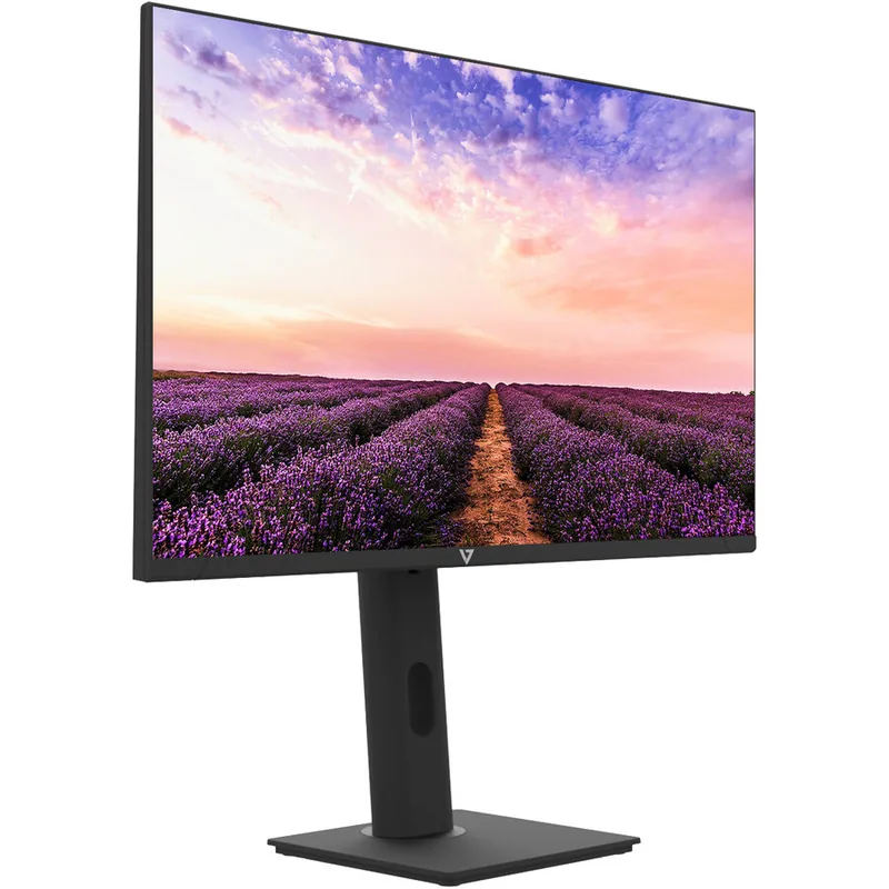Samsung LS24D400GAUXEN 24inch Full HD IPS 100Hz Negru