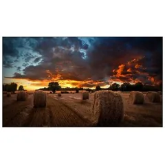Samsung Smart Signage VM55B-U