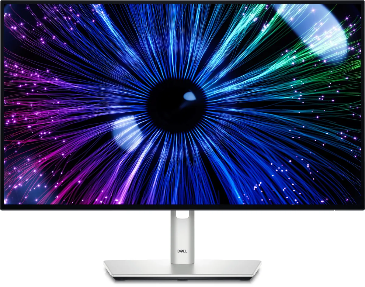 Dell UltraSharp U2424HE Argintiu