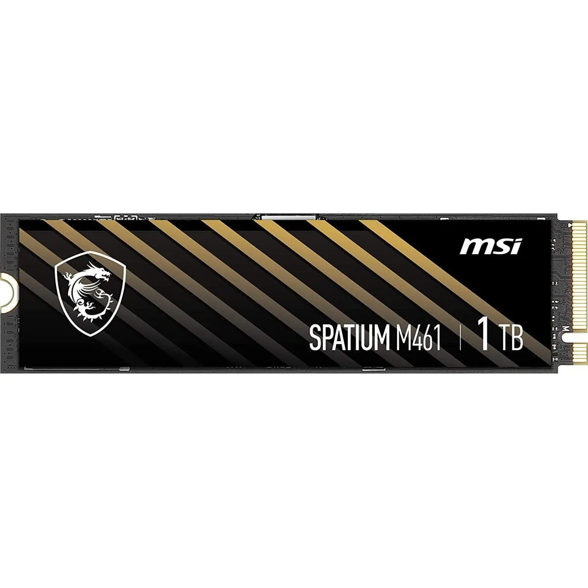 MSI Spatium M461 1TB