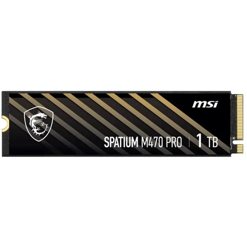 MSI SPATIUM M470 Pro 2GB