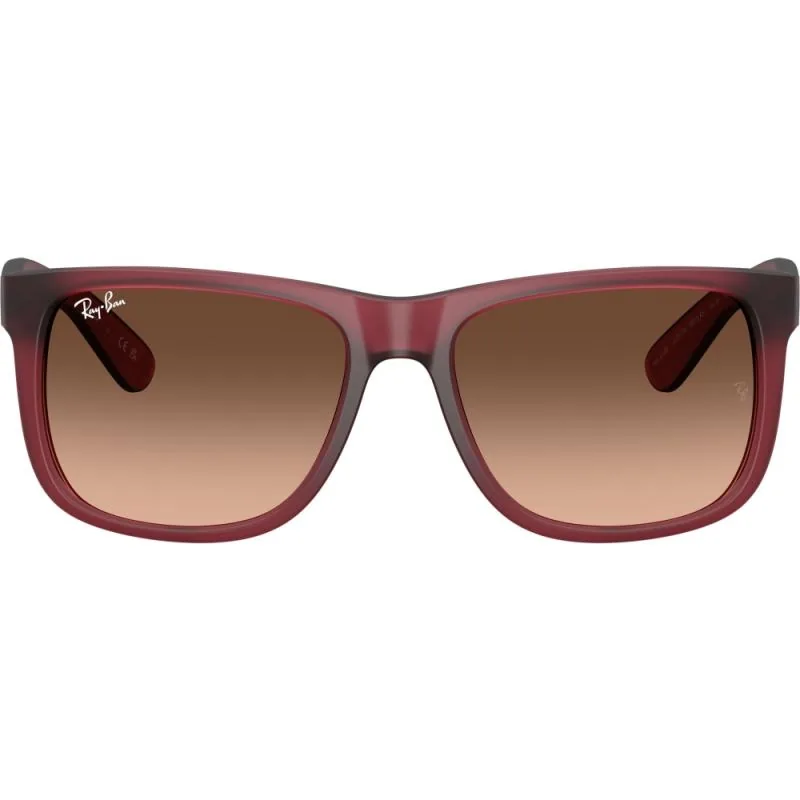 Ray-Ban Justin RB4165 54 6815A5