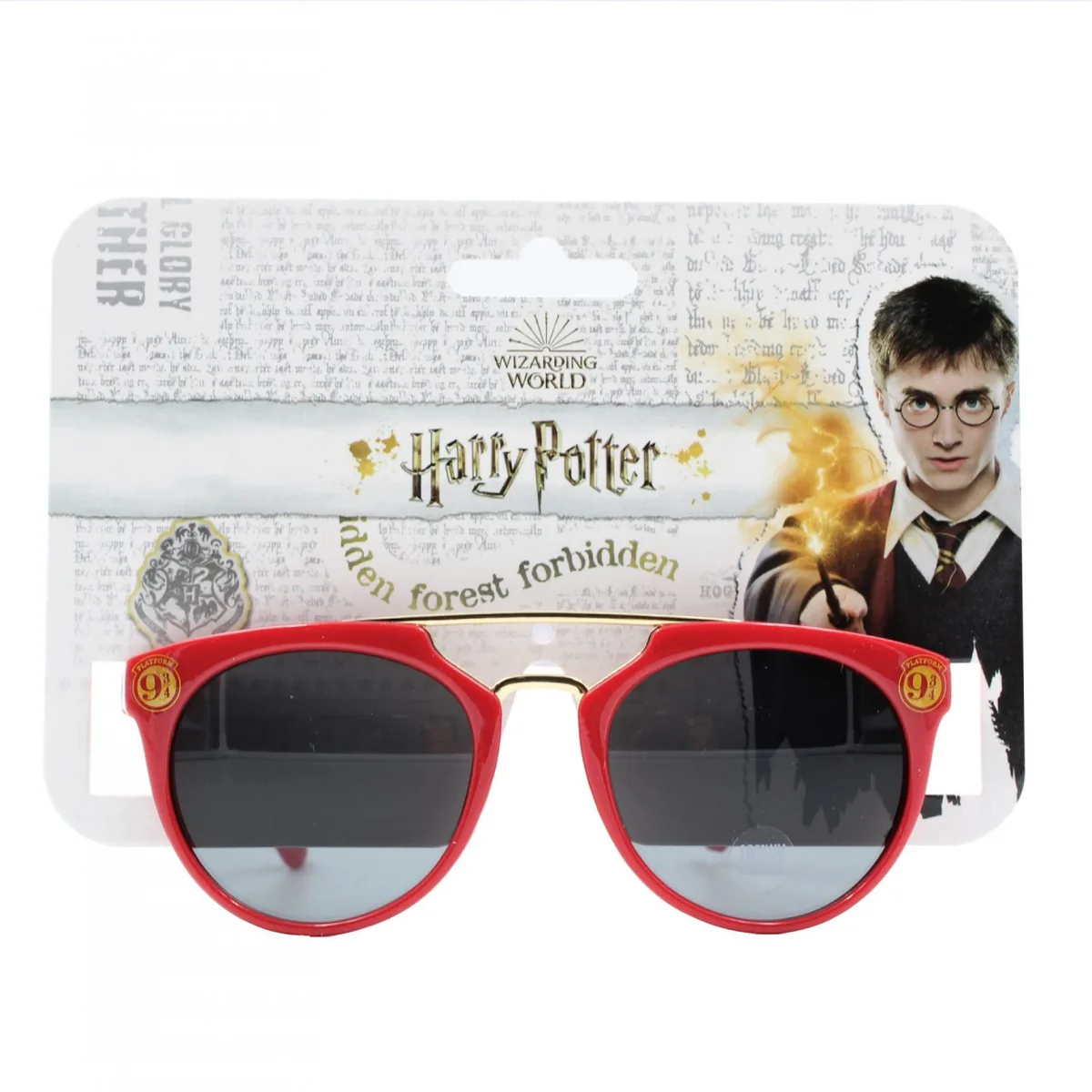 Ochelari de Soare Copii Cerda Harry Potter