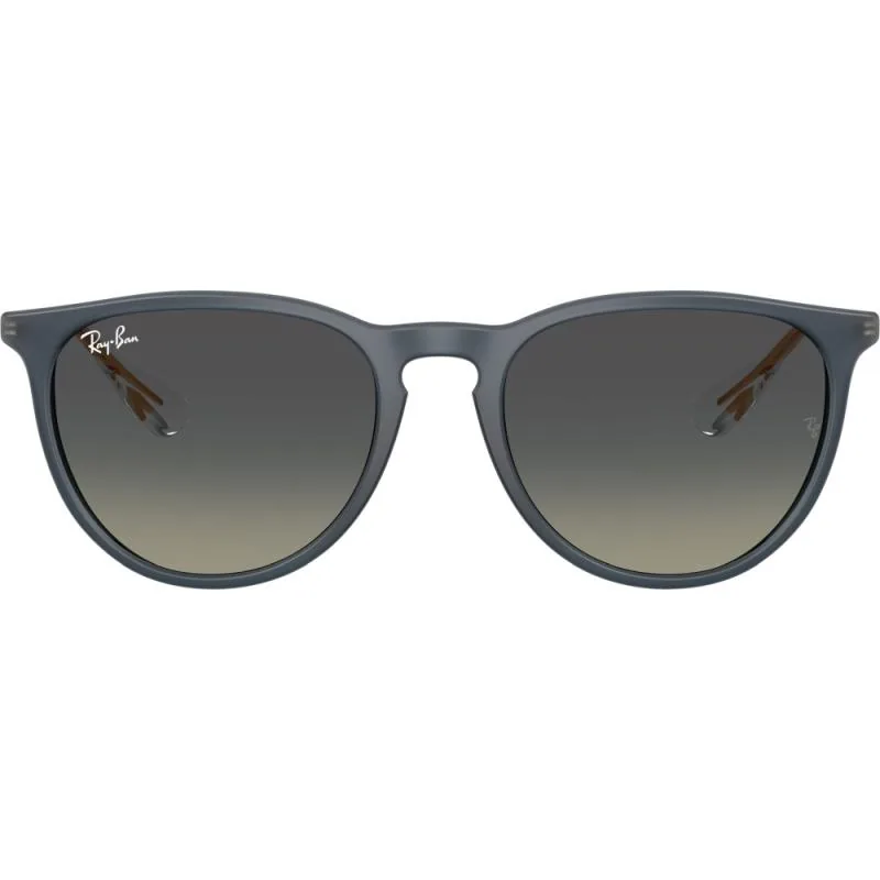 Ray-Ban Erika 54 6813/11
