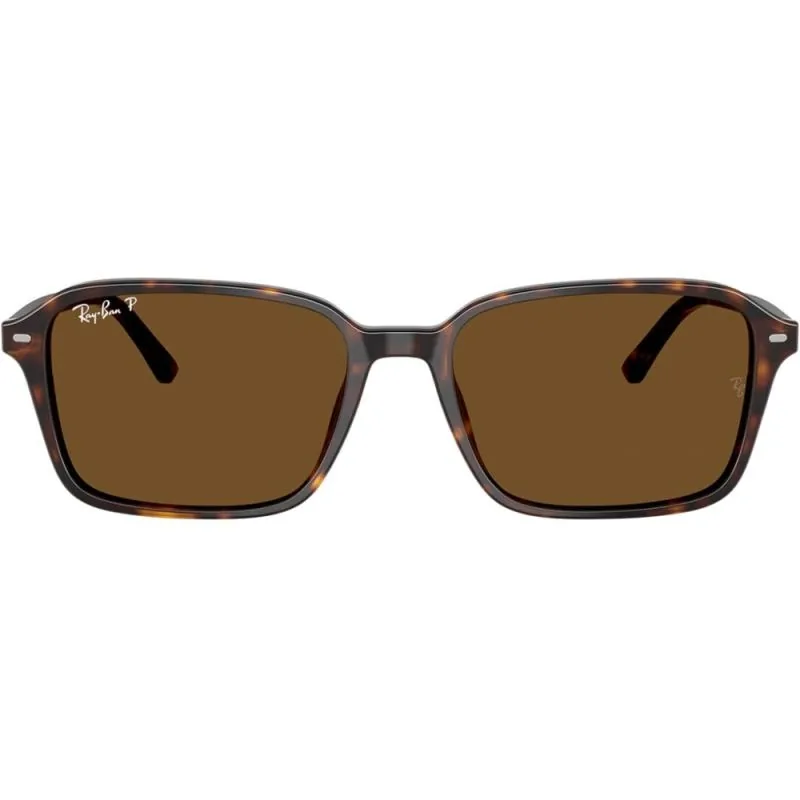 Ray-Ban RB2231 Raimond 902/57 Marimea 58