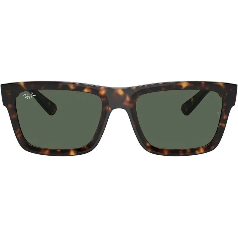 Ray-Ban Warren RB4396 1359/71 57