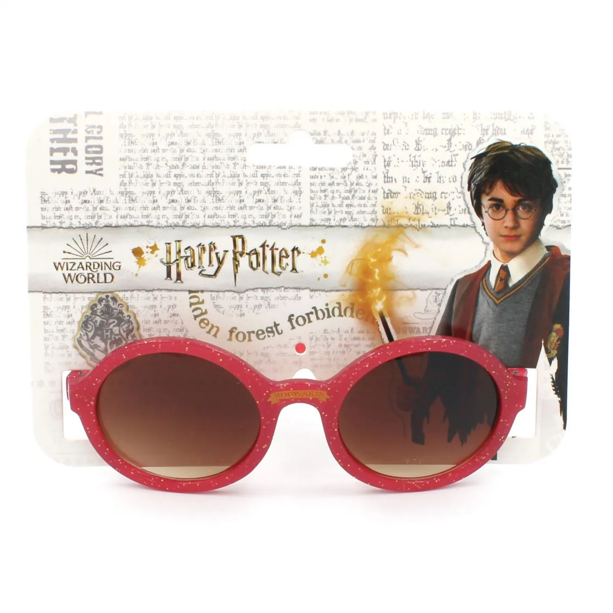 Ochelari de Soare Copii Cerda Hogwarts Harry Potter