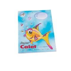 Pachet Caiete Casa Tipografica Pestisorul A5 Clasa 1