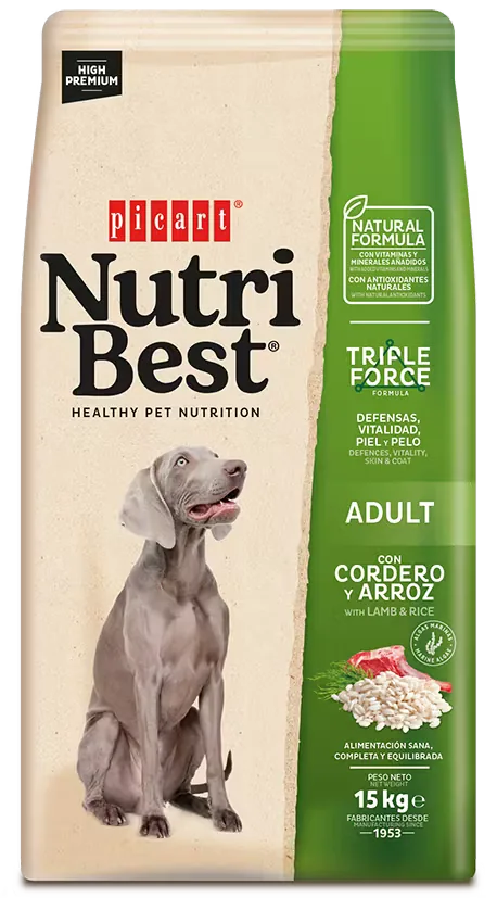 Hrana Uscata Caini Nutribest Adult Dog Miel si Orez 15kg