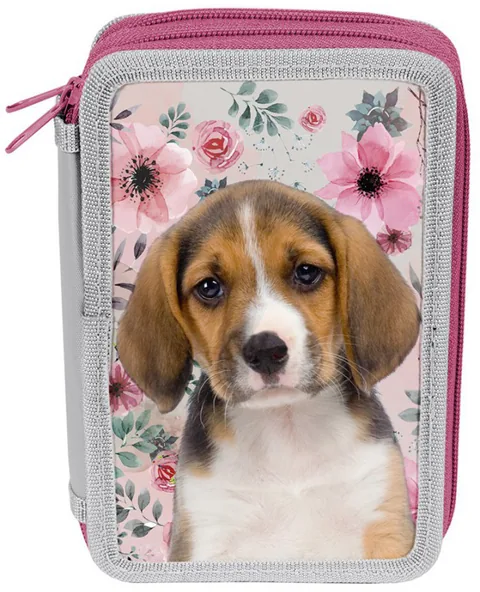 Penar Scolar Paso Dog 2 Compartimente