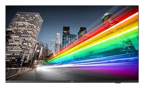 Philips 55BFL2214/12