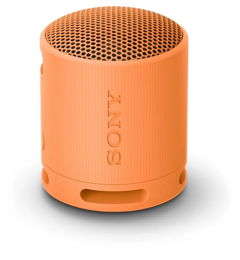 Sony SRS-XB100D Portocaliu