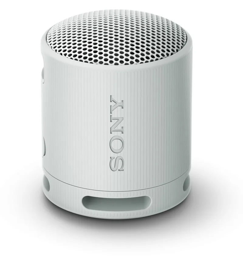 Sony SRS-XB100 Gri