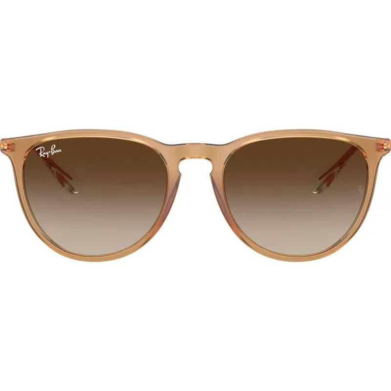 Ray-Ban Erika RB4171 Marimea 54 6814/13