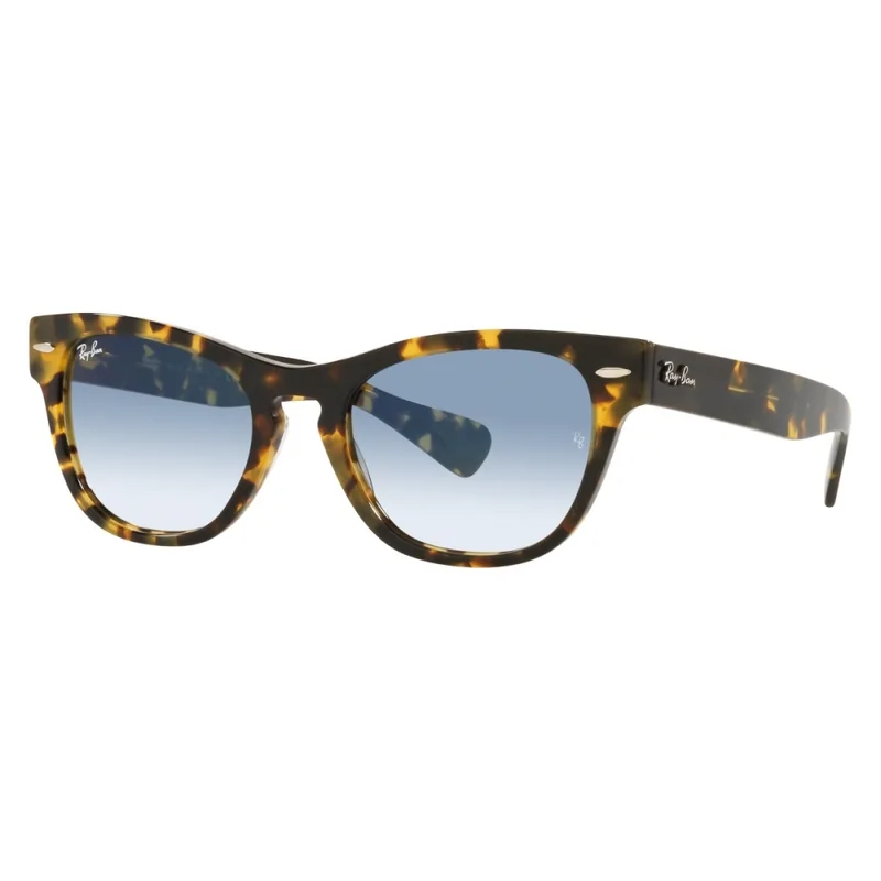 Ray-Ban RB2201 LARAMIE 1332/3F 54