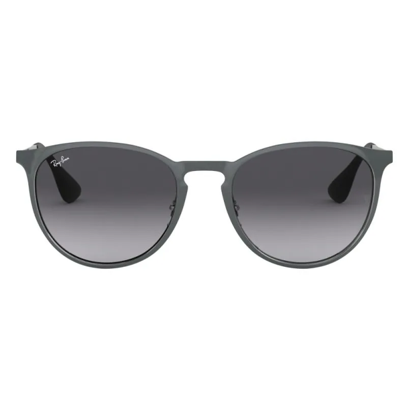 Ray-Ban Erika Metal 54 192/8G