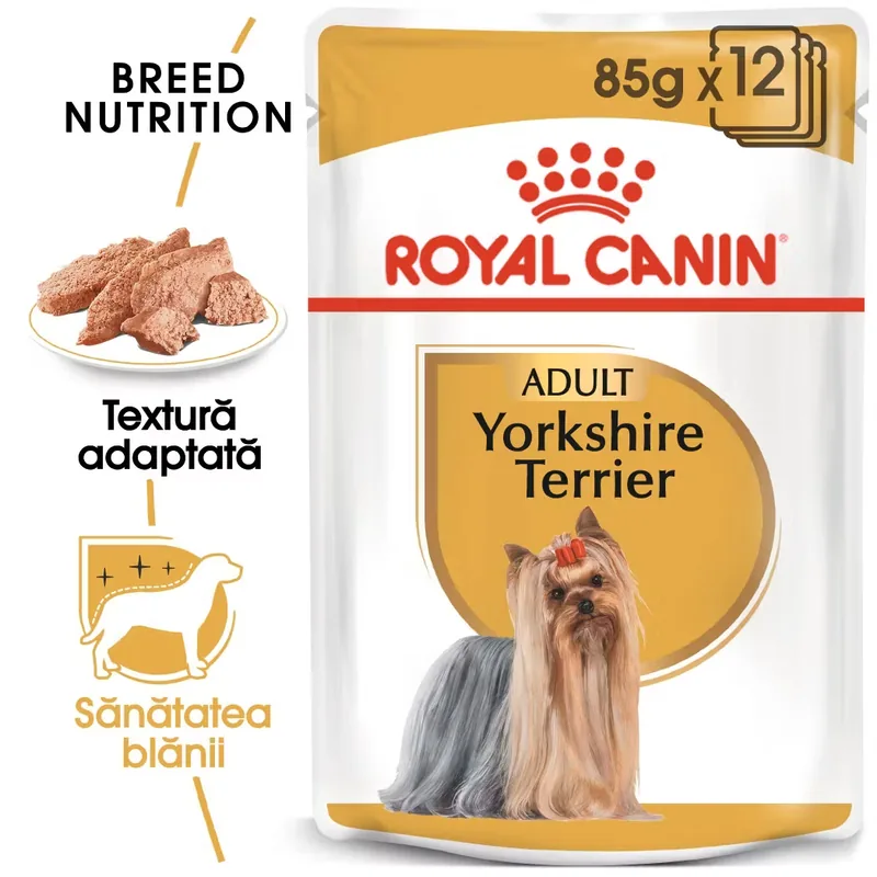 Hrana Umeda Caine Royal Canin Yorkshire Terrier Adult Pate 12x85g