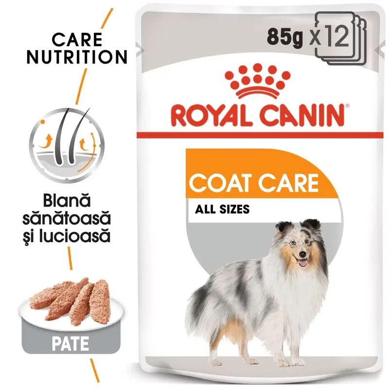 Hrana Umeda Caine Royal Canin Coat Care Adult Pate 12x85g