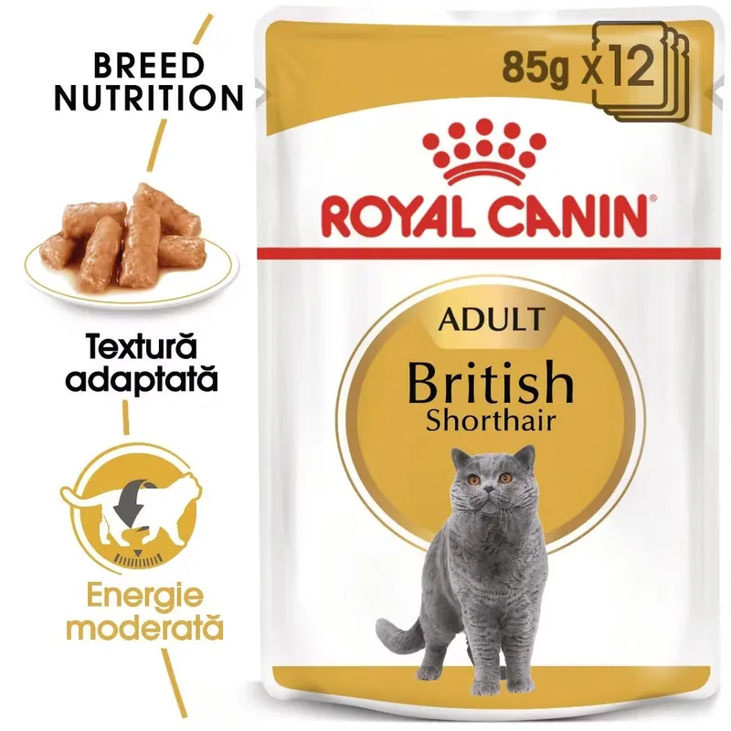 Hrana Umeda Royal Canin British Shorthair Adult in Sos 12x85g