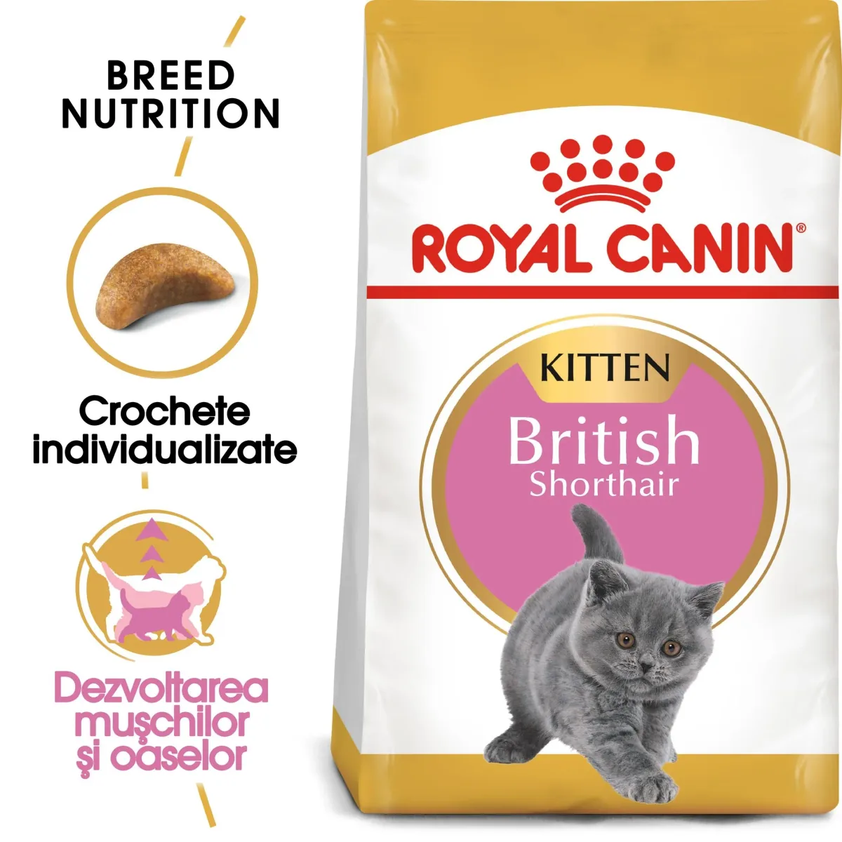 Hrana Uscata pentru Pisici Royal Canin British Shorthair Kitten 10kg