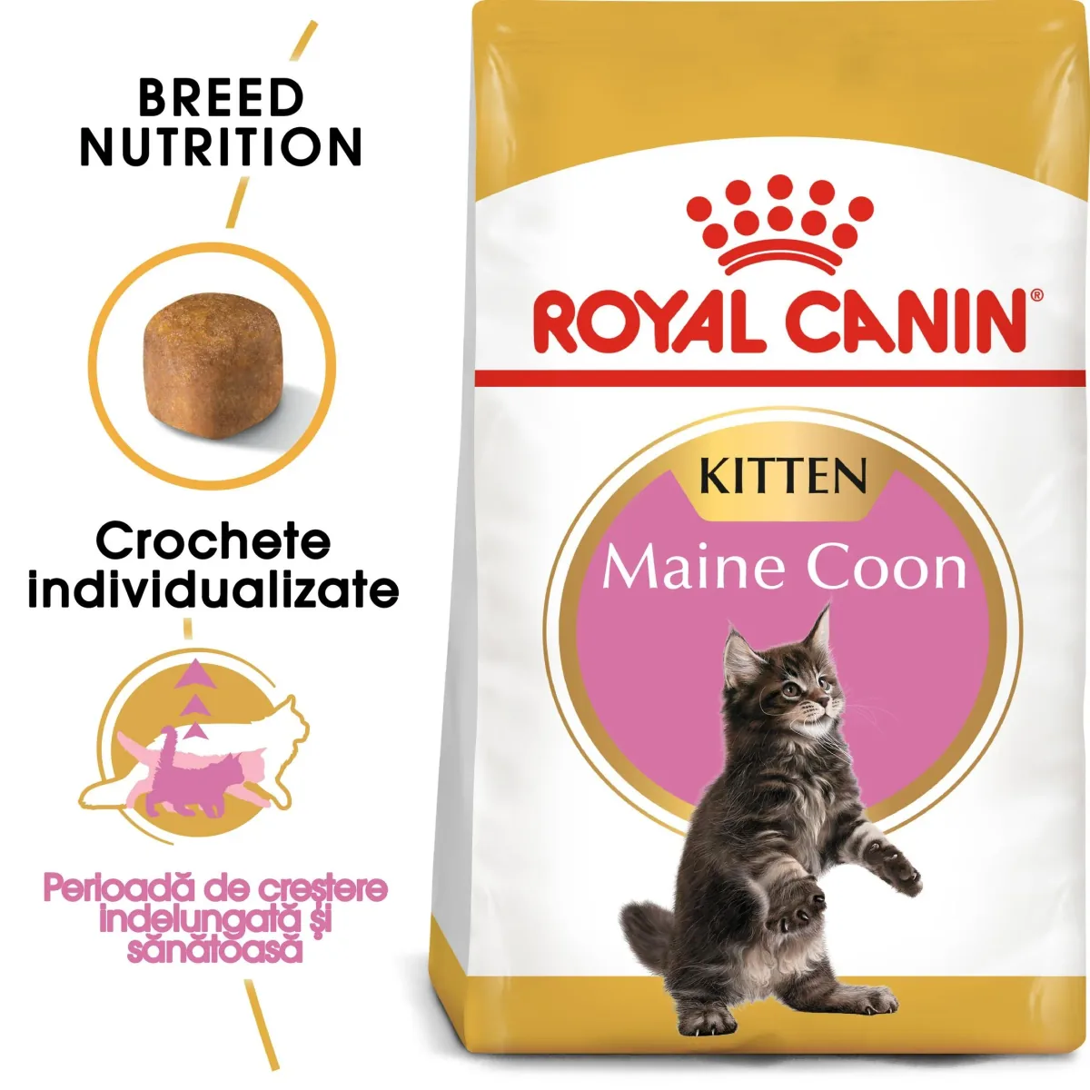 Royal Canin Maine Coon Kitten 10kg