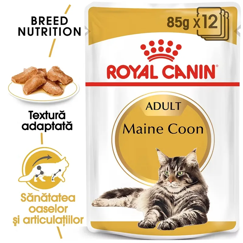 Royal Canin Maine Coon Adult Hrana Umeda Sos 12x85g