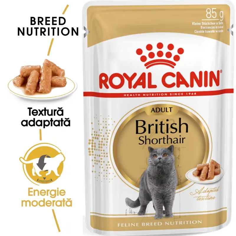 Hrana Umeda pentru Pisici Royal Canin British Shorthair Adult in Sos 85g