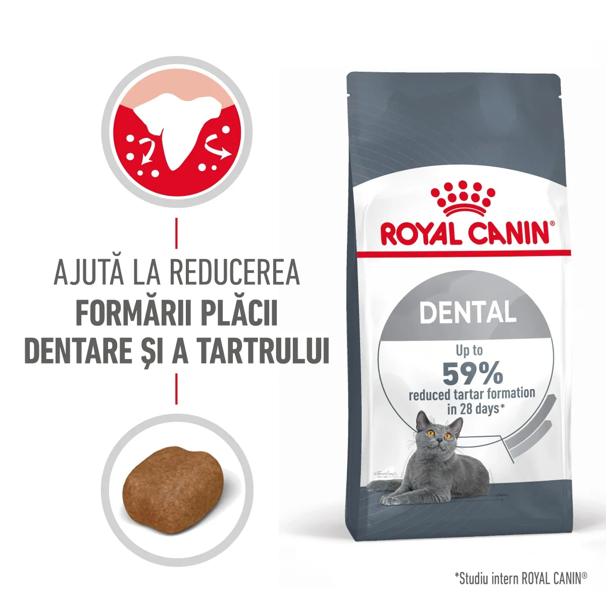 Hrana Uscata pentru Pisici Royal Canin Oral Care Adult 8kg