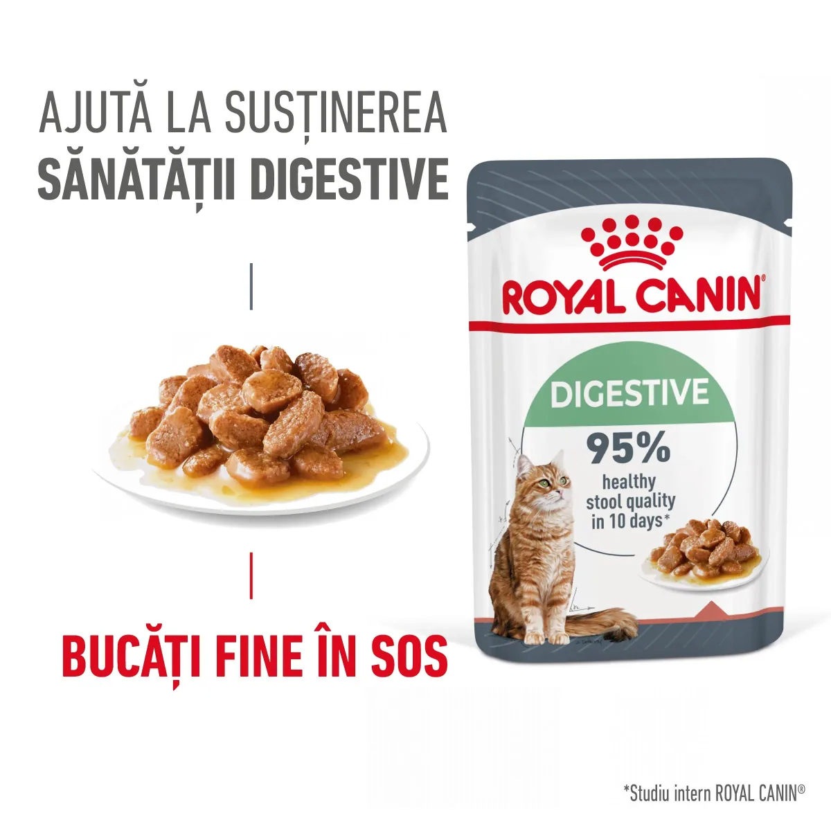 Hrana Umeda Pisici Royal Canin Digest Sensitive Care Adult in Sos 12x85g
