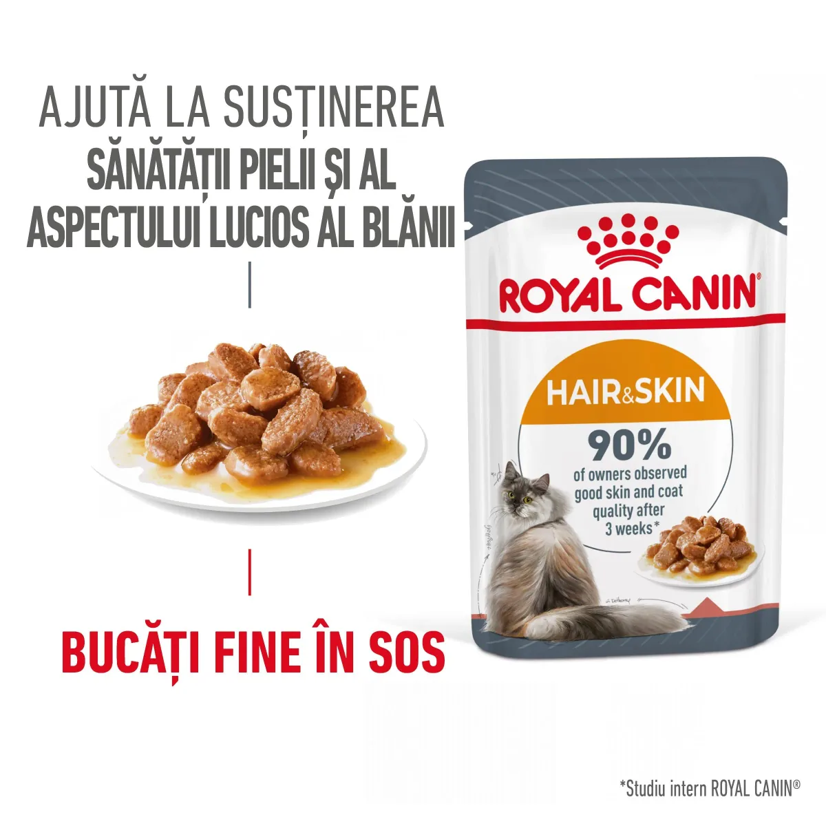 Hrana Umeda pentru Pisici Royal Canin Hair & Skin Care Adult in Sos 12 x 85g