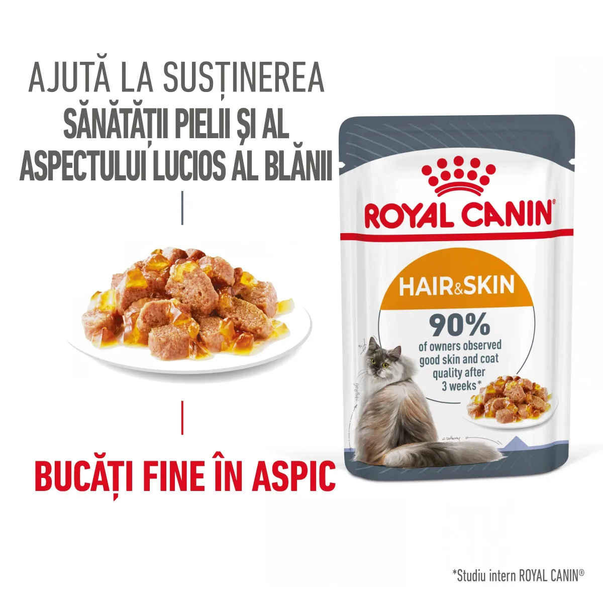 Hrana Umeda Pisica Royal Canin Hair&Skin Care Adult Piele&Blana in Aspic 12x85g
