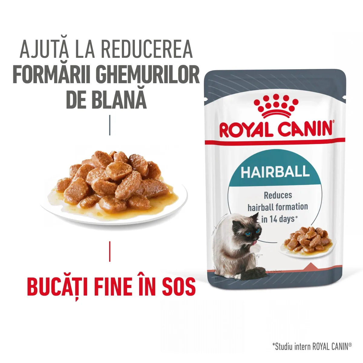 Royal Canin Hairball Care Adult Hrana Umeda Pisica in Sos 12x85g