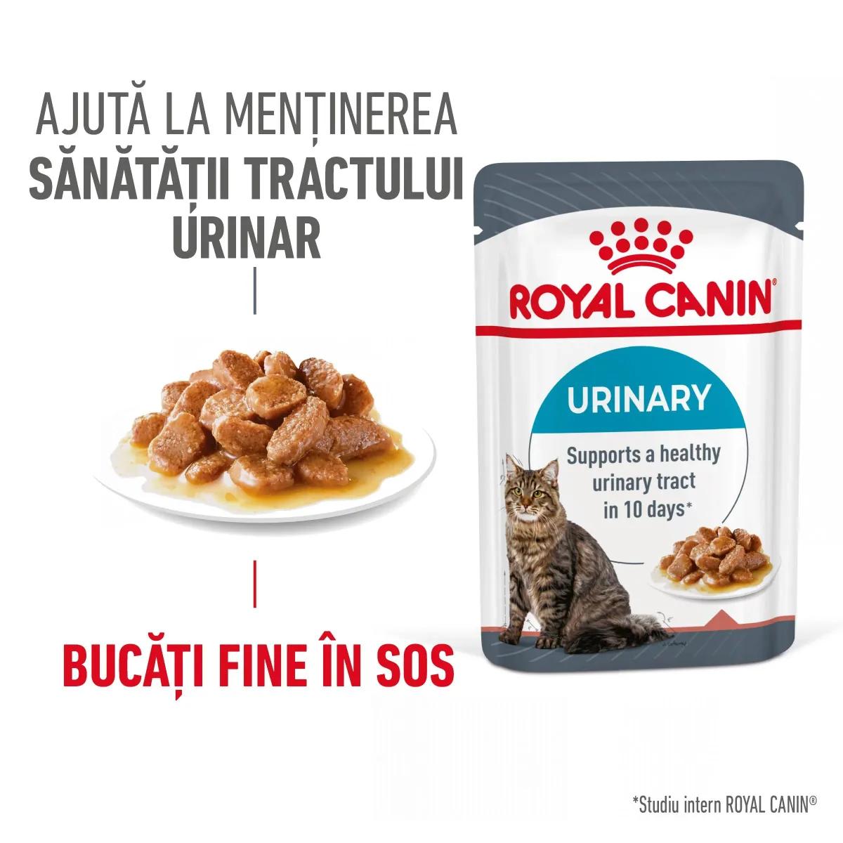 Royal Canin Urinary Care Adult Sos 12x85g