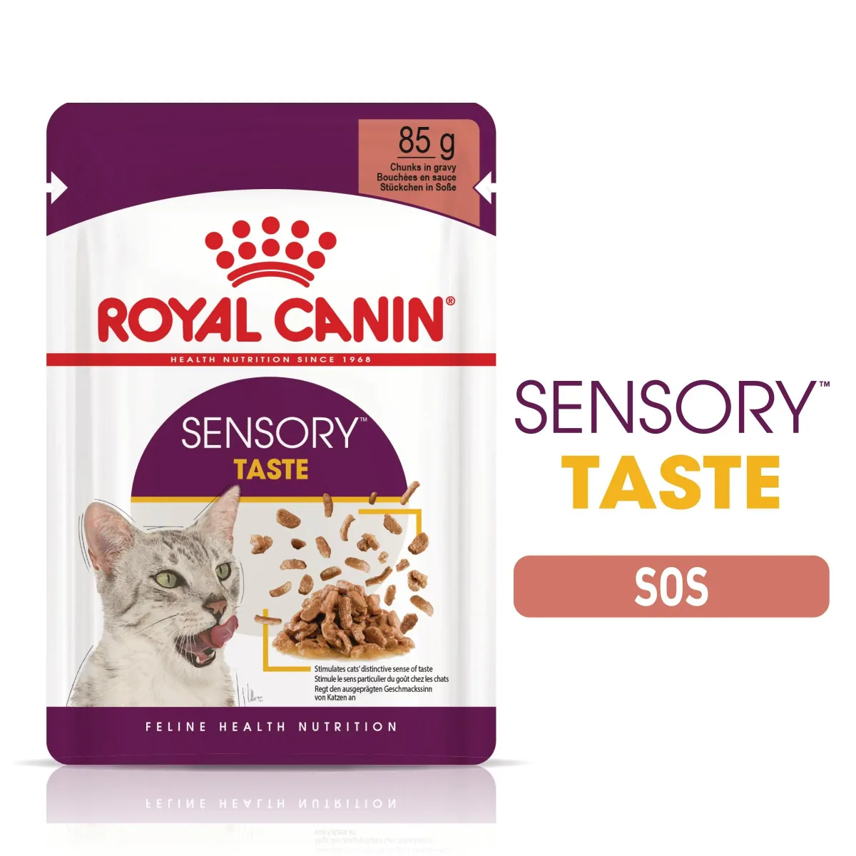 Hrana Umeda Pisici Royal Canin Sensory Taste Stimularea Gustului in Sos 12x85g