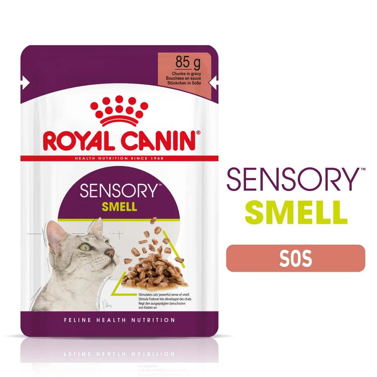 Hrana Umeda pentru Pisici Royal Canin Sensory Smell in Sos 12x85g