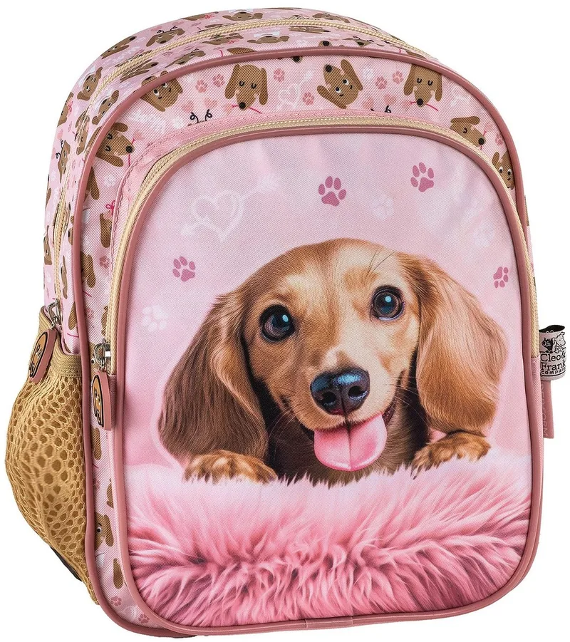 Rucsac Gradinita Derform Cleo & Frank 46