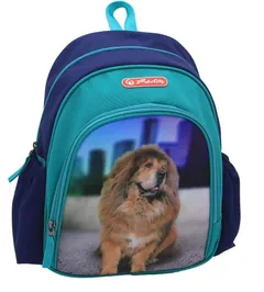 Rucsac Herlitz Cool Boss Phantom Blue 31x20x12cm 7L