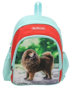 Rucsac Herlitz Cool Boss Phantom Red 31x20x12cm