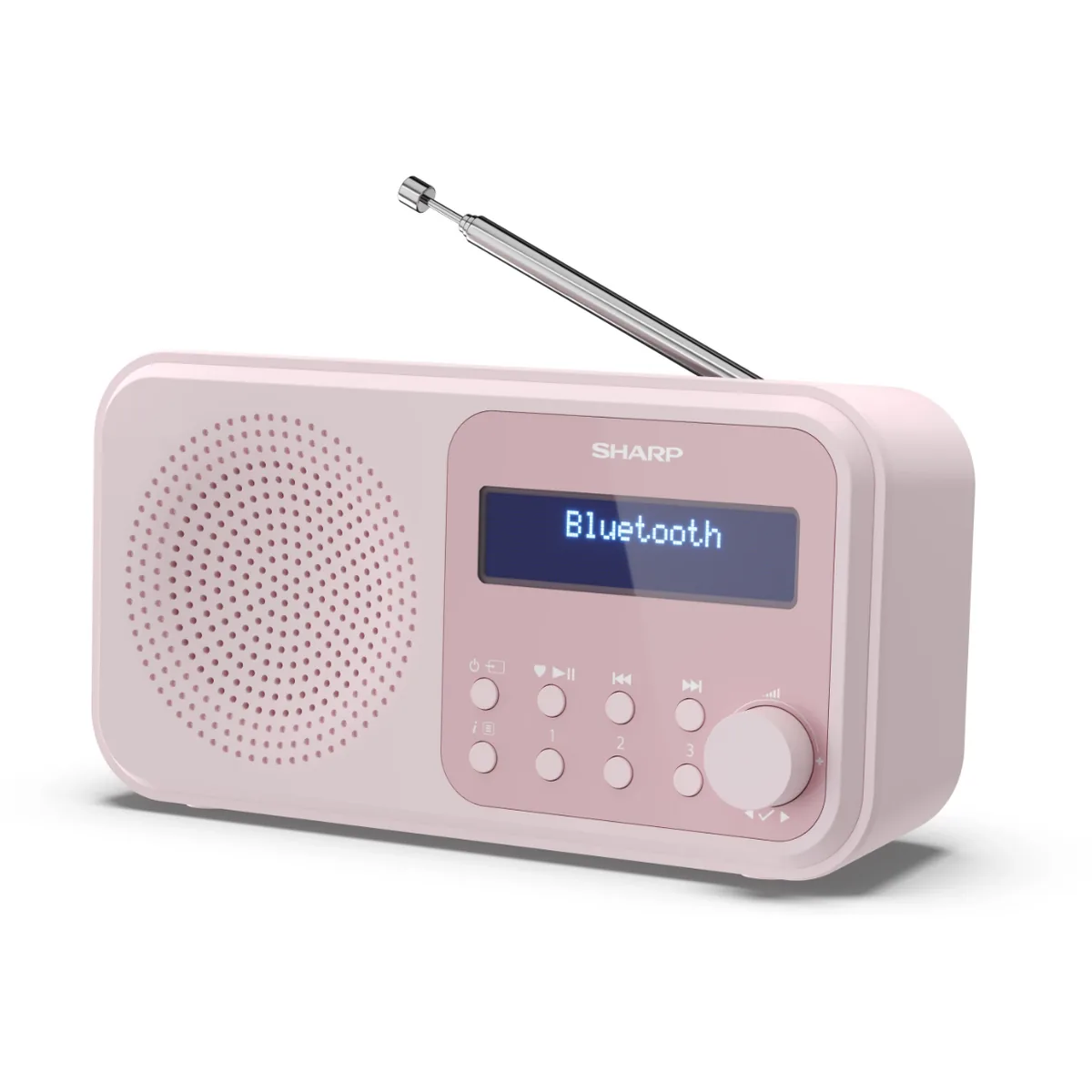 Sharp Tokyo Digital Radio DR-P420 Roz