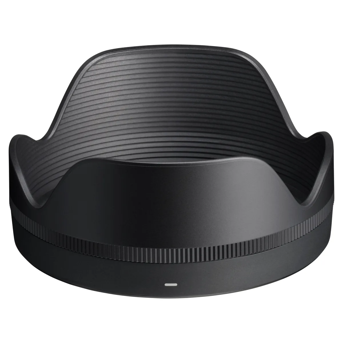 Sigma 16-300mm F3.5-6.7 DC OS Contemporary Canon RF - imagine 2